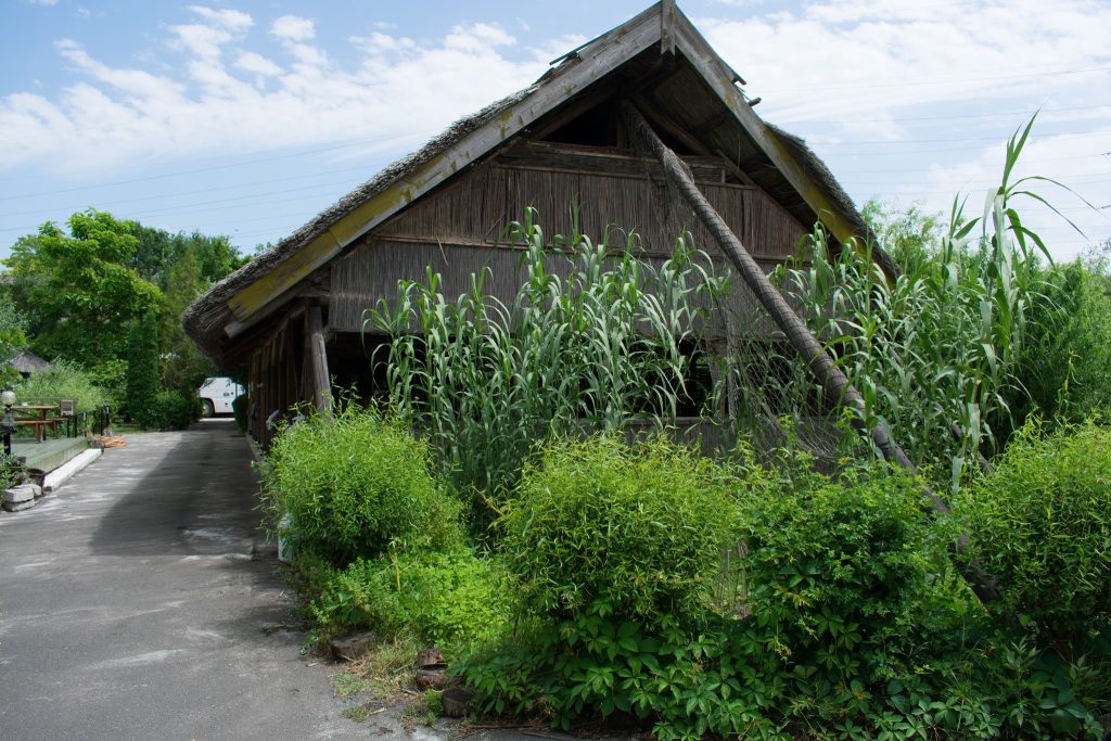 104317670_100922421675591_8896842703329348175_n