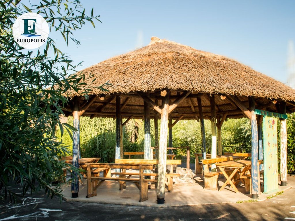 109144353_127076969060136_8787864179033971284_n