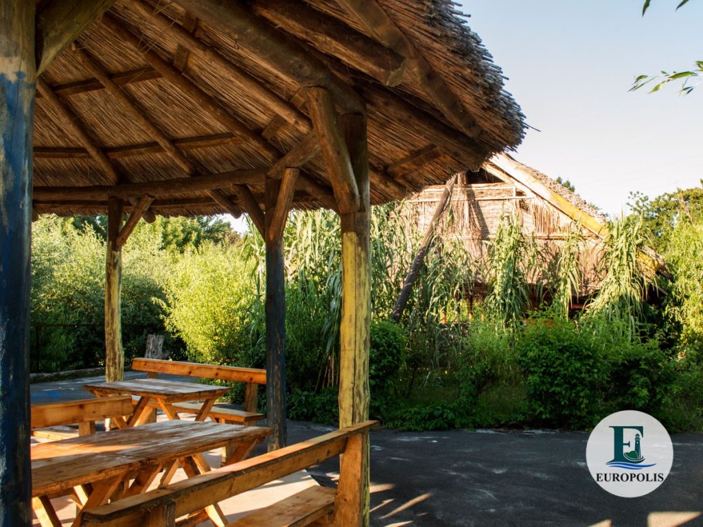 109330606_127076935726806_1163664483810054768_n