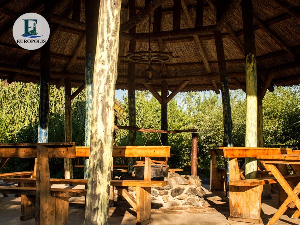 109524853_127076905726809_8693441614340162609_n