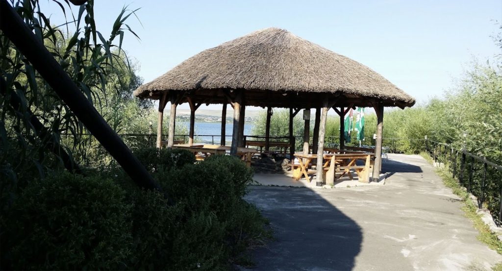 Screenshot-2022-08-24-at-17.05.03