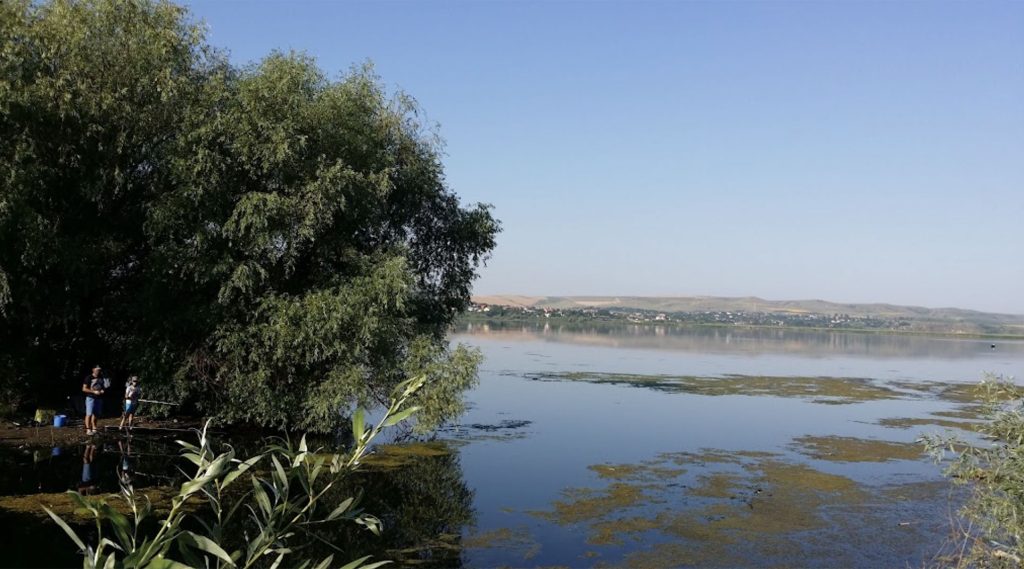 Screenshot-2022-08-24-at-17.06.07